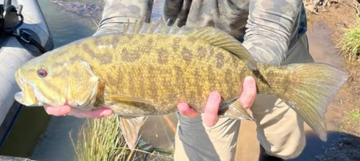 Client holding a good smallmouth